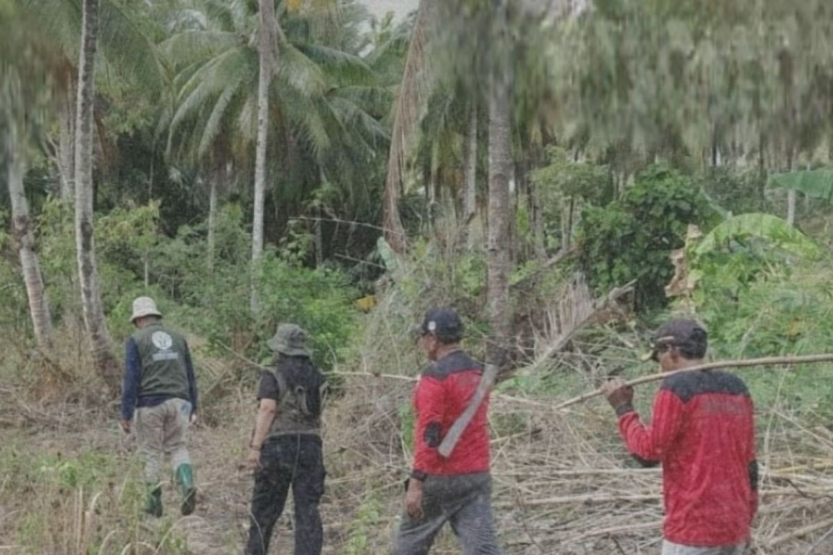BKSDA Padamkan Titik Api di Sekitar Cagar Alam Pulau Larat