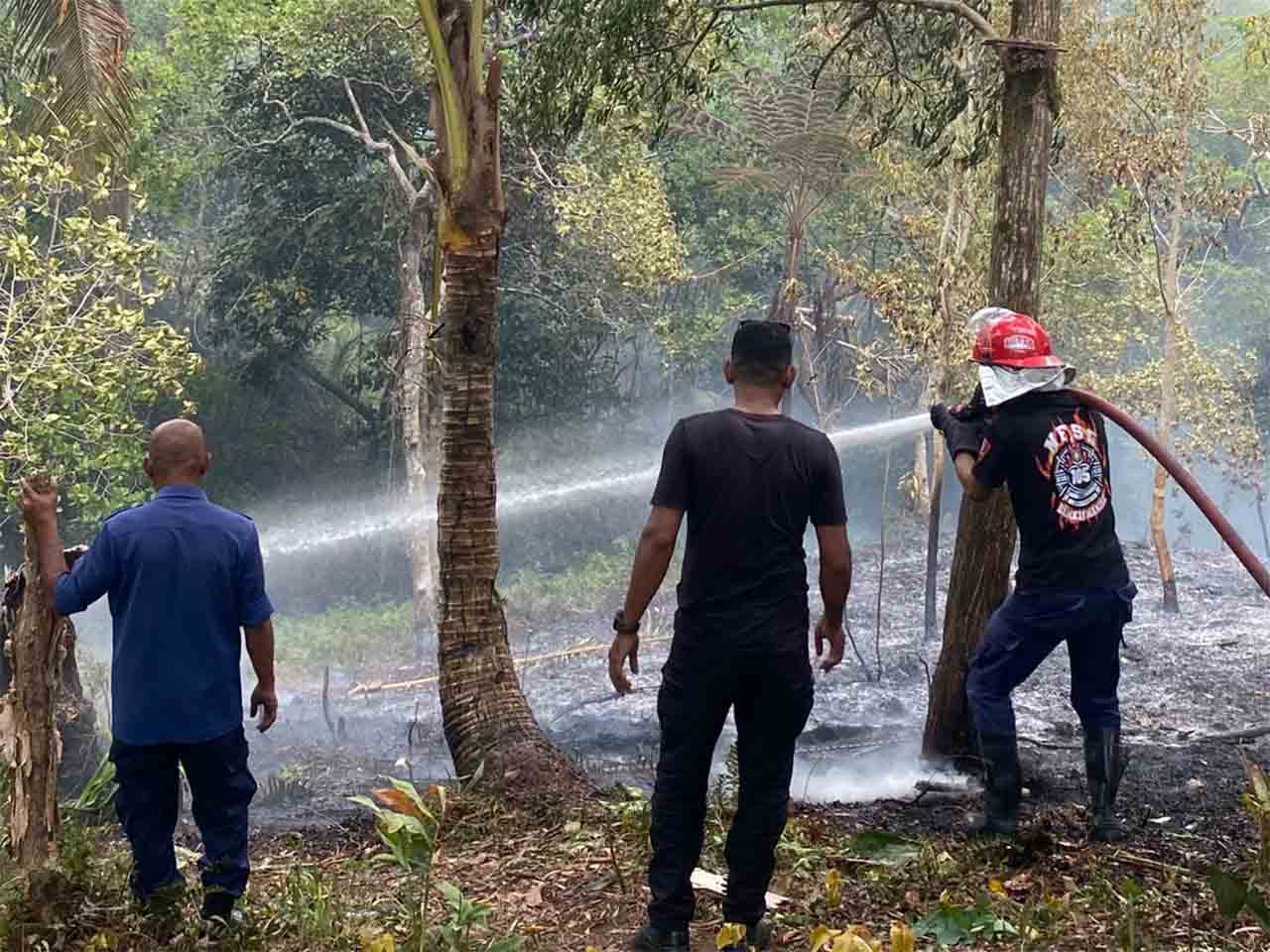 Empat Armada Damkar Dikerahkan Kawal Kebakaran Hutan Kanawa di Negeri Batu Merah, Ambon