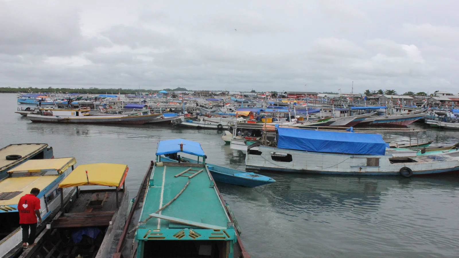 BMKG Peringatan Gelombang Sedang 6 Perairan Maluku 12–15 Oktober 2026, Nelayan Diminta Waspada