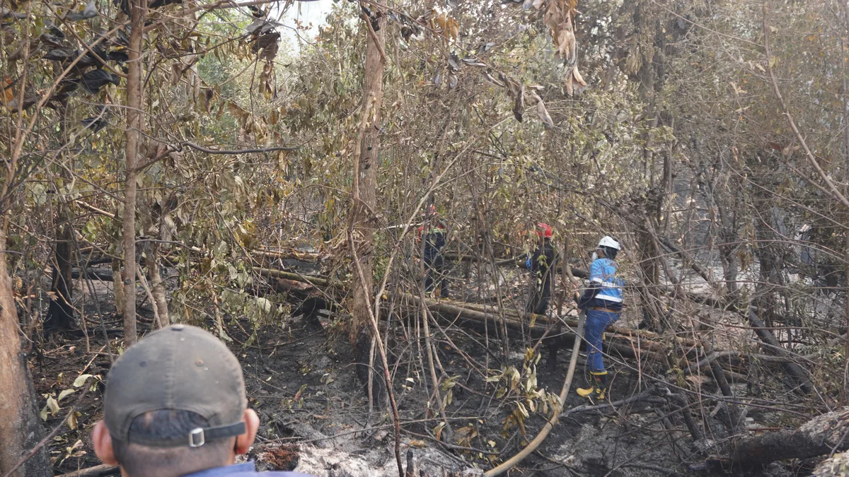 Enam Kebakaran Lahan di Ambon dalam Tujuh Hari, Sebagian Bermula dari Bakar Sampah