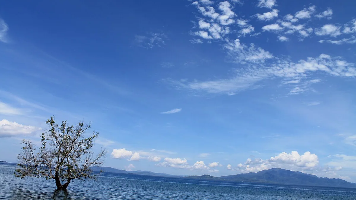 Bappenas: 40 Ribu Penduduk Maluku Terdampak Kenaikan Muka Air Laut Satu Meter