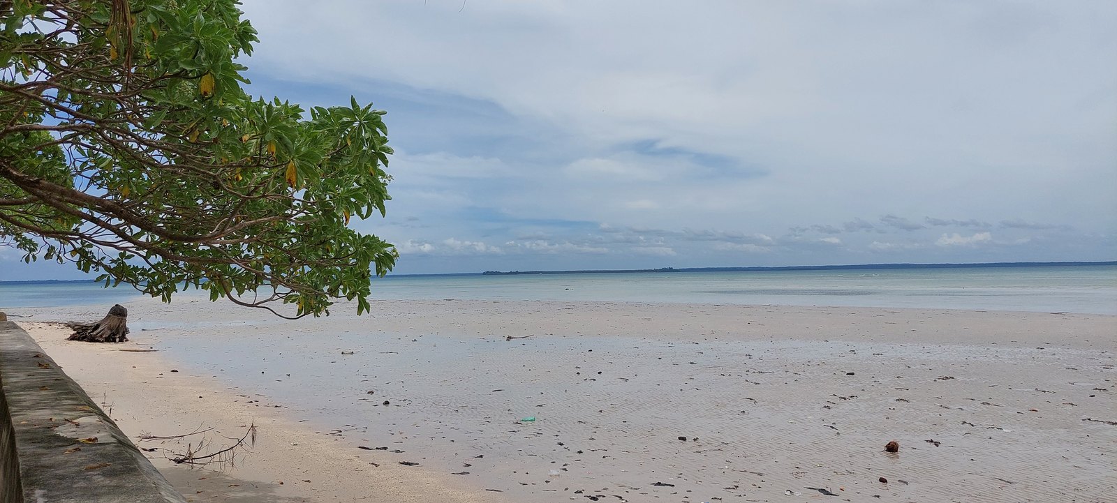 41 Penumpang Kapal Kayu Mati Mesin di Perairan Aru Selamat Dievakuasi Basarnas Ambon
